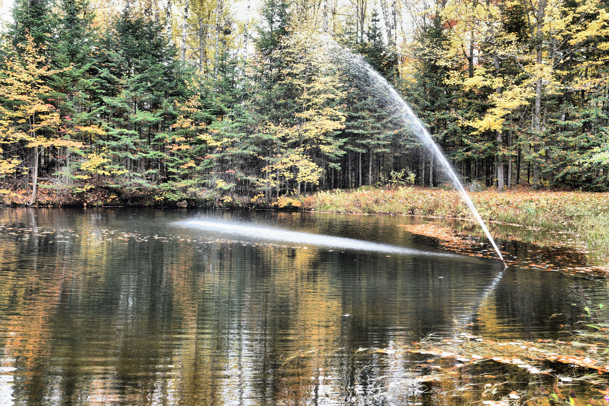 Fountain