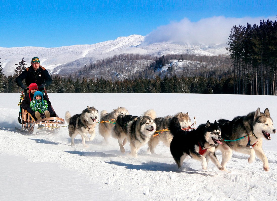Dogsledding