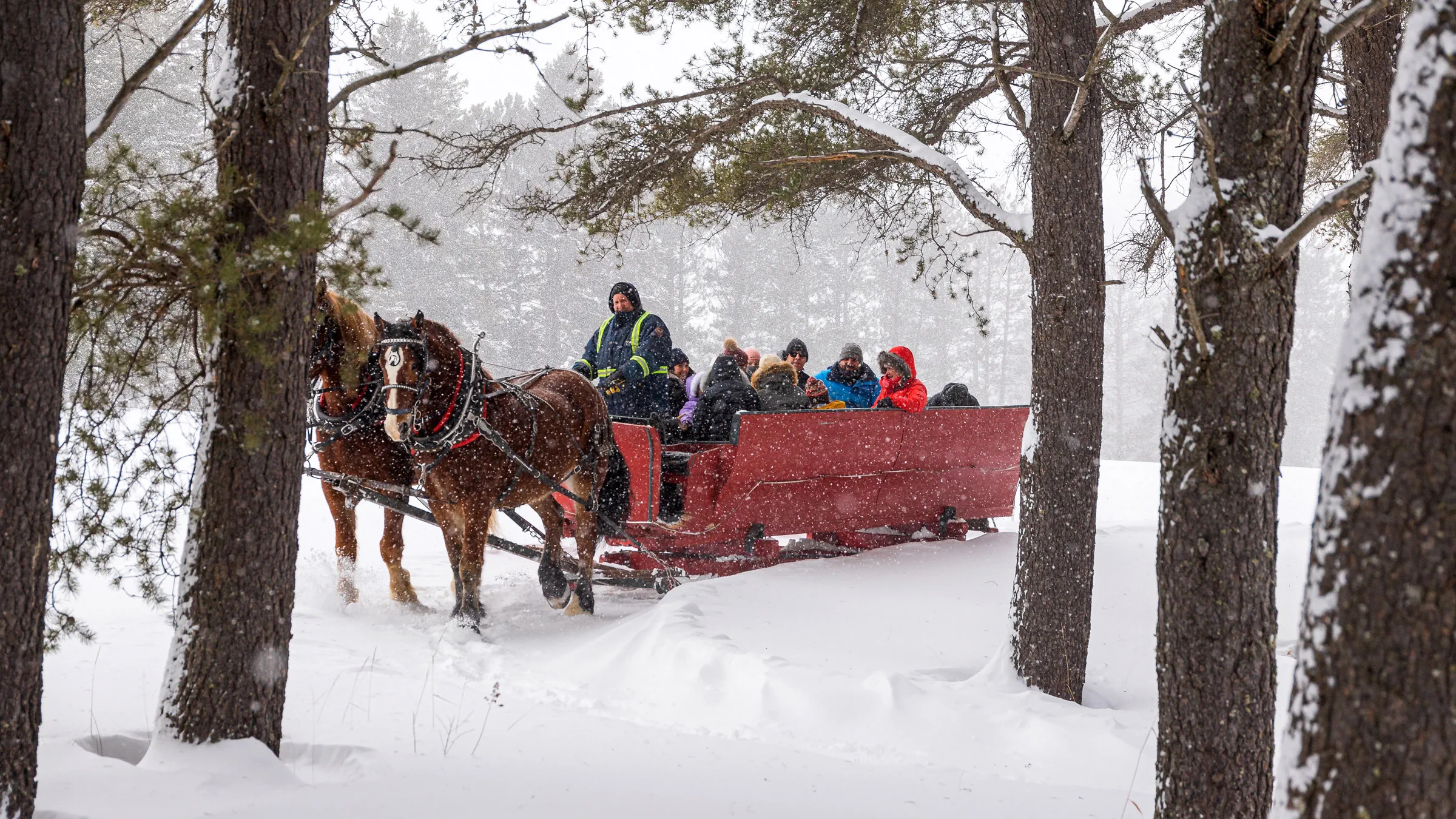 Sleigh Ride