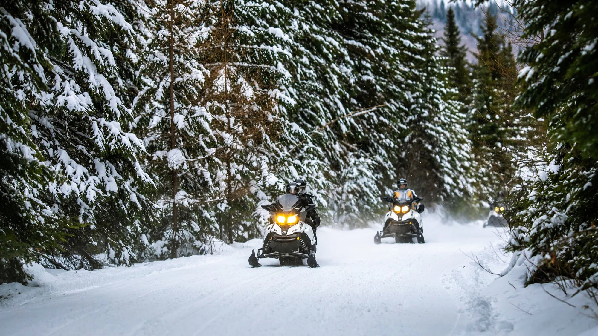 Snowmobile Tours