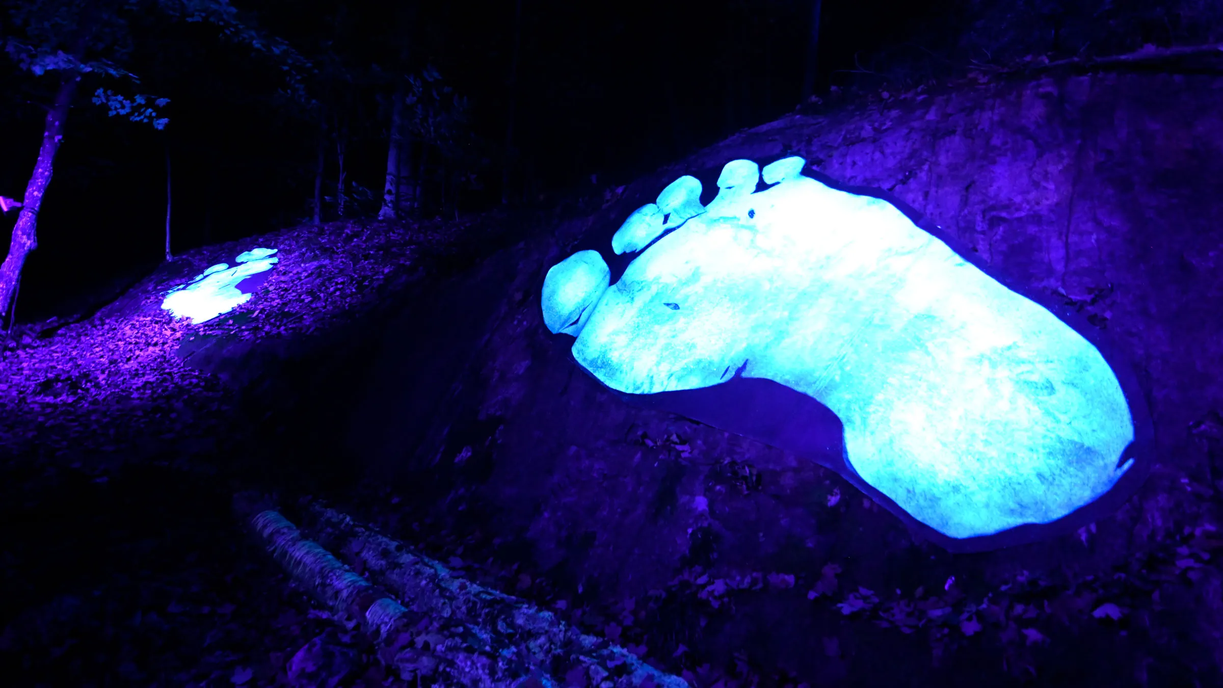 Tonga Illuminated Night Walk